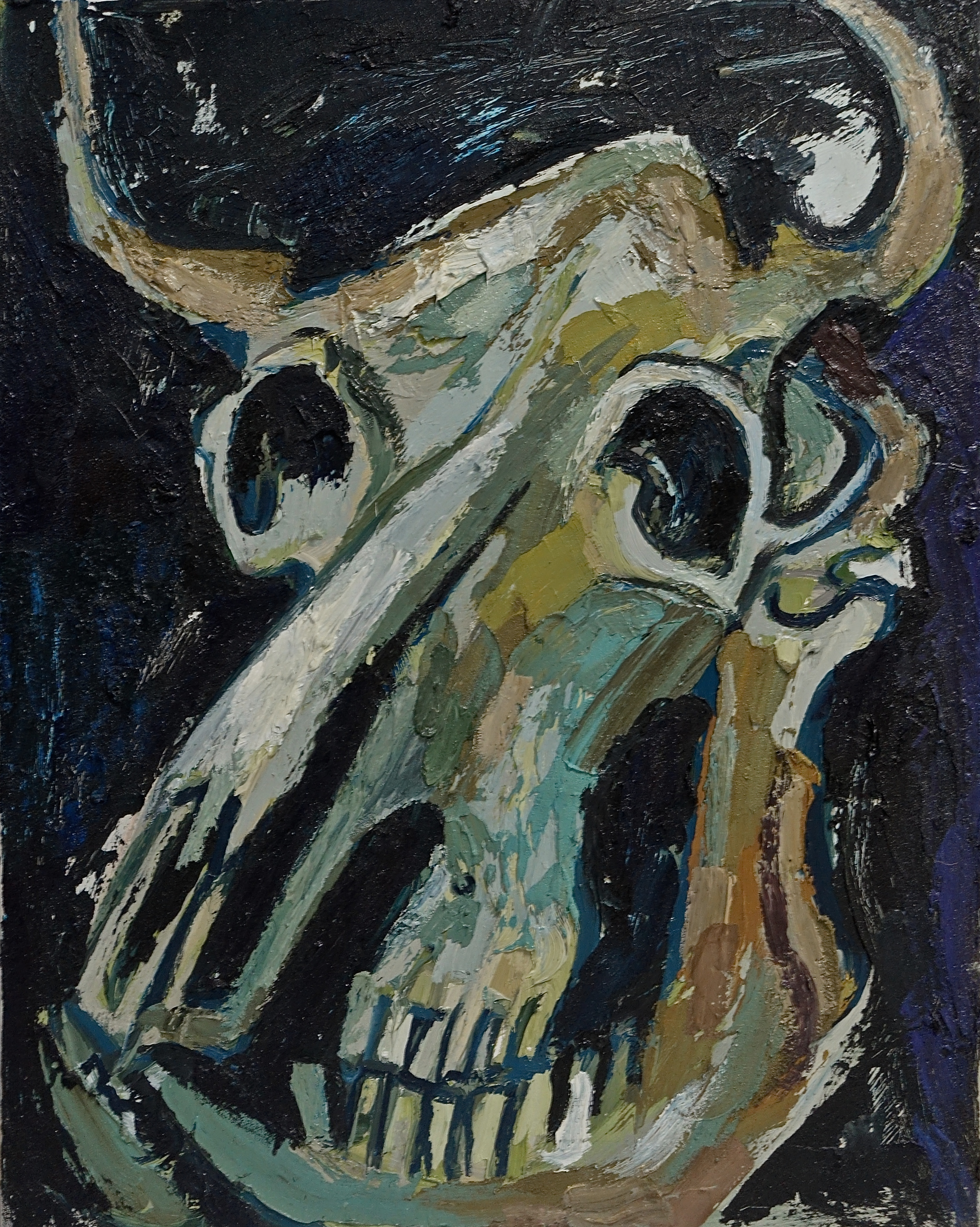 Skull of Bull, 2014